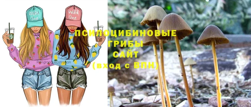 Галлюциногенные грибы Magic Shrooms  Малгобек 